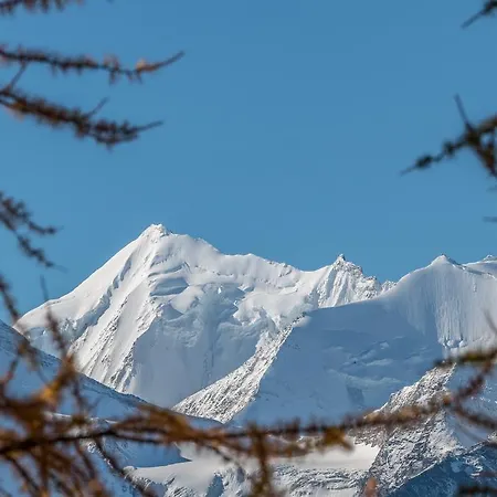 Relax - Haus Swiss Apartment Grächen