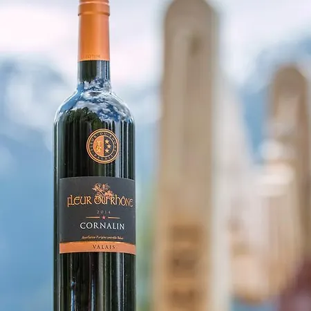 Apartment Relax - Haus Swiss *