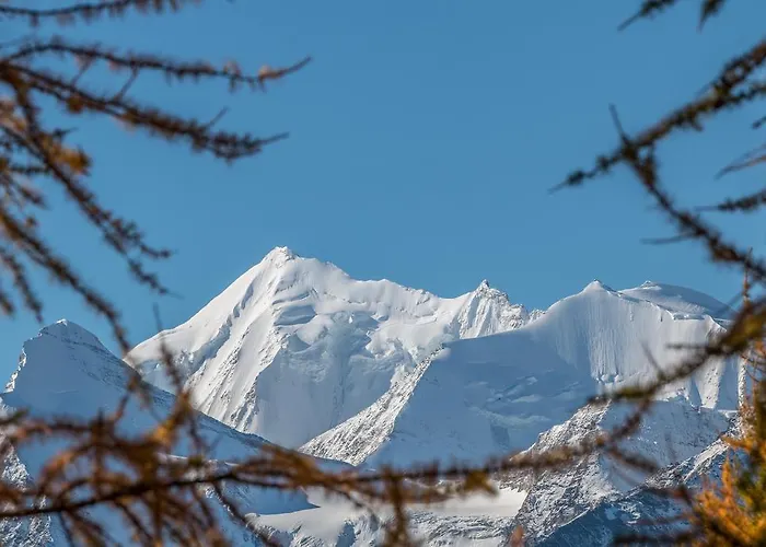 Relax - Haus Swiss Apartment Grachen