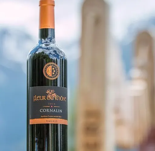 Apartment Relax - Haus Swiss *