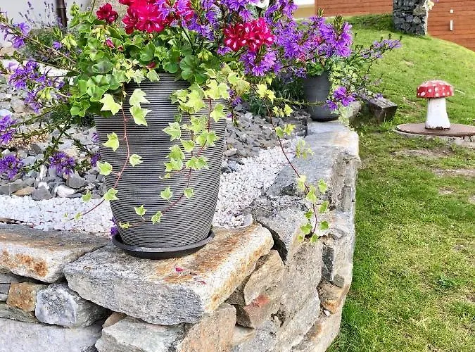 Relax - Haus Swiss Apartment